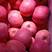 陕西省-亁县红富士冻苹果，公用新老客户超市电商，