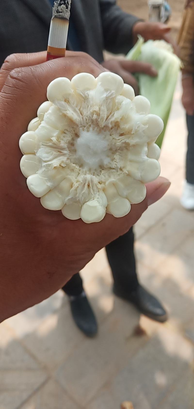 万糯2000