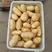 山东优质荷兰15土豆黄皮黄心薯型好货源充足，可发货