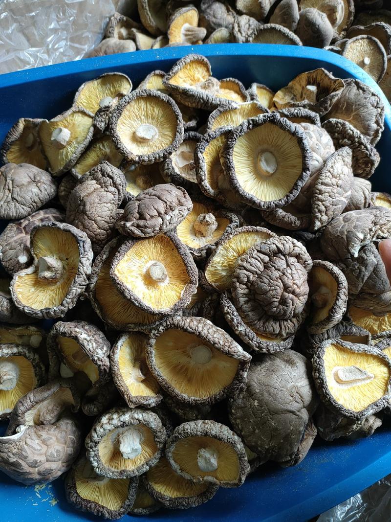 陕西留坝产地直发干香菇:大片菇厚菇、花菇丶香菇条、香菇脚