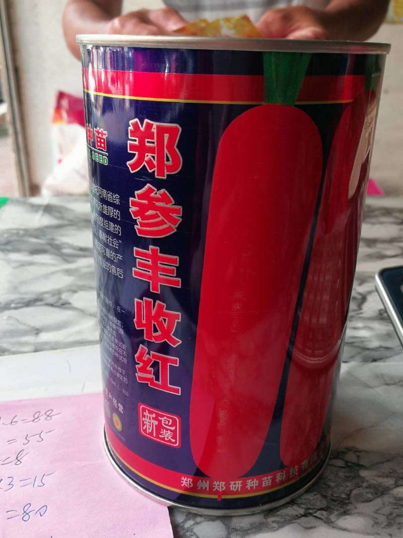 胡萝卜，根长根粗小顶收尾好表皮光滑鲜亮柱心细口感甜脆。