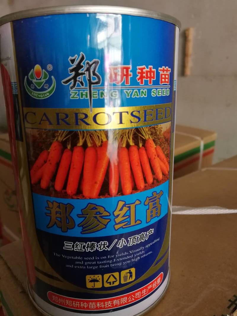 胡萝卜小顶肉质根近柱形表皮光亮颜色鲜艳郑参红富胡萝卜种子