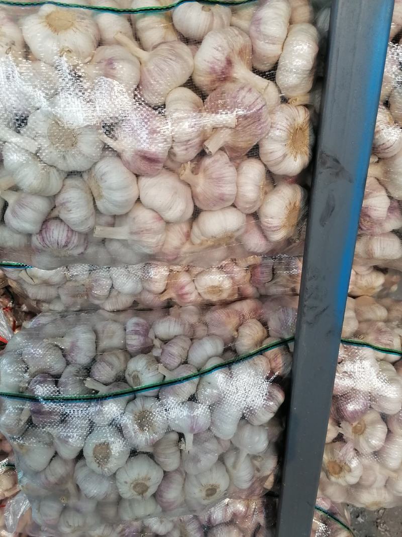 邳州土特产大蒜，白蒜，红皮蒜，加工过的蒜，质量美，价格优