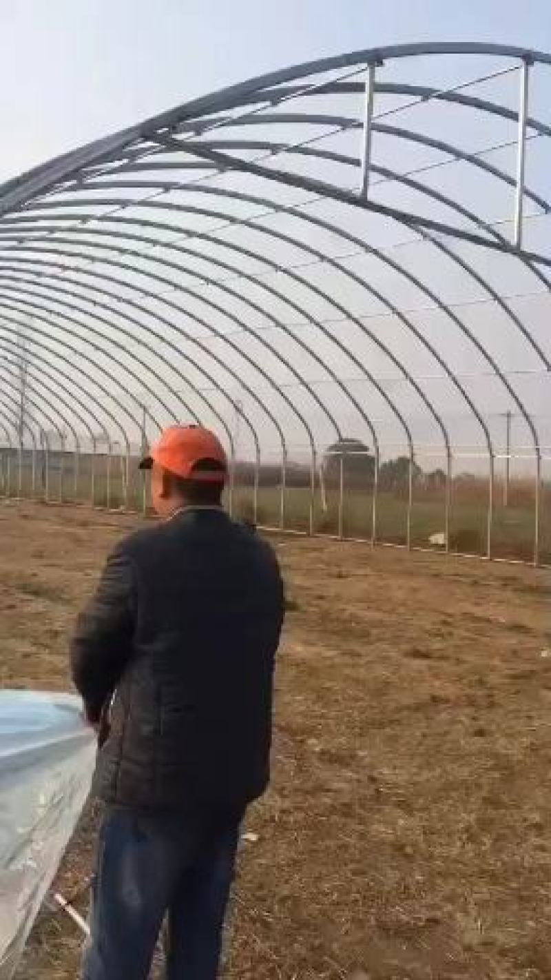 厂家直销椭圆管养殖大棚规格齐坚固耐用抗风抗价格实惠包安装