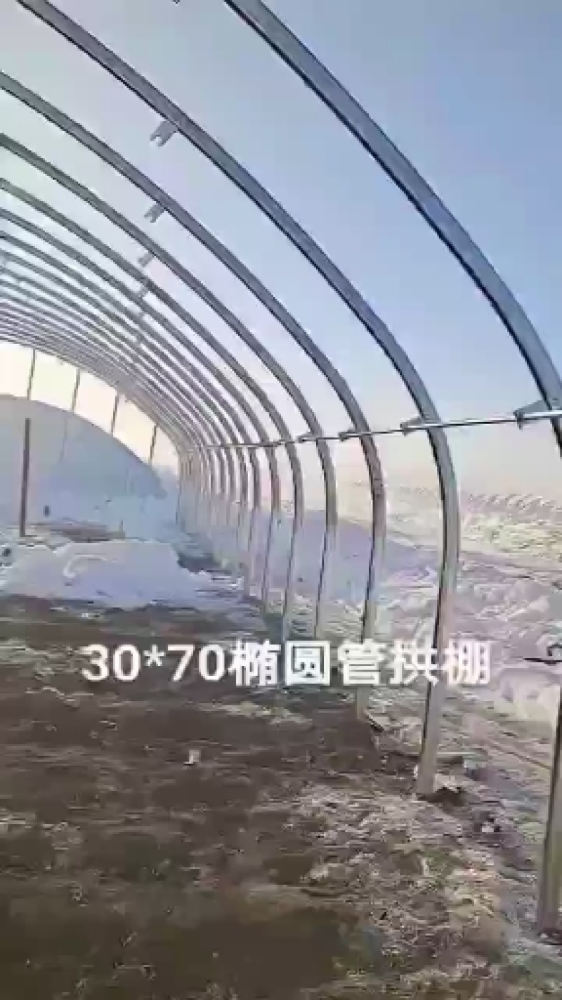 厂家直销椭圆管养殖大棚规格齐坚固耐用抗风抗价格实惠包安装