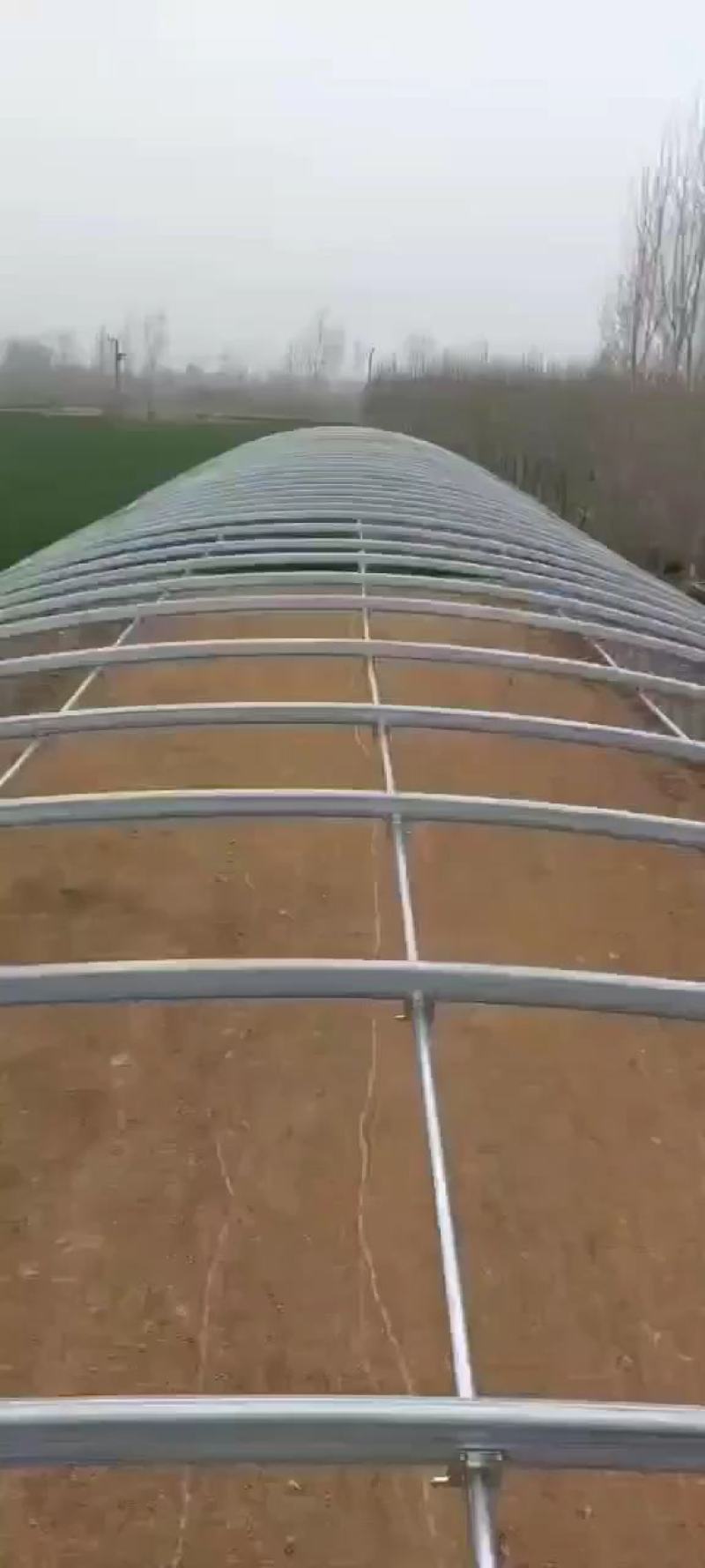 厂家直销椭圆管养殖大棚规格齐坚固耐用抗风抗价格实惠包安装