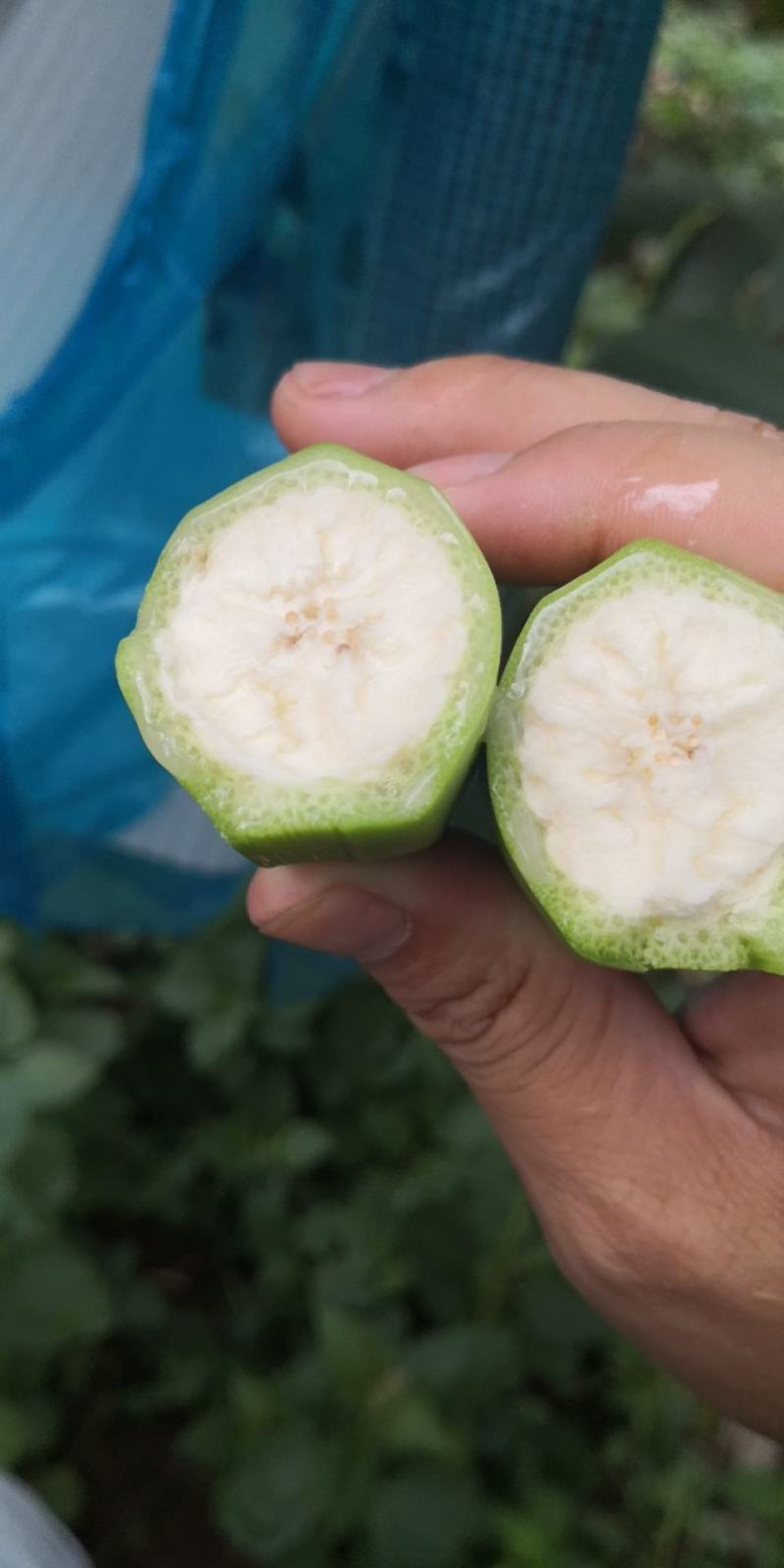香蕉