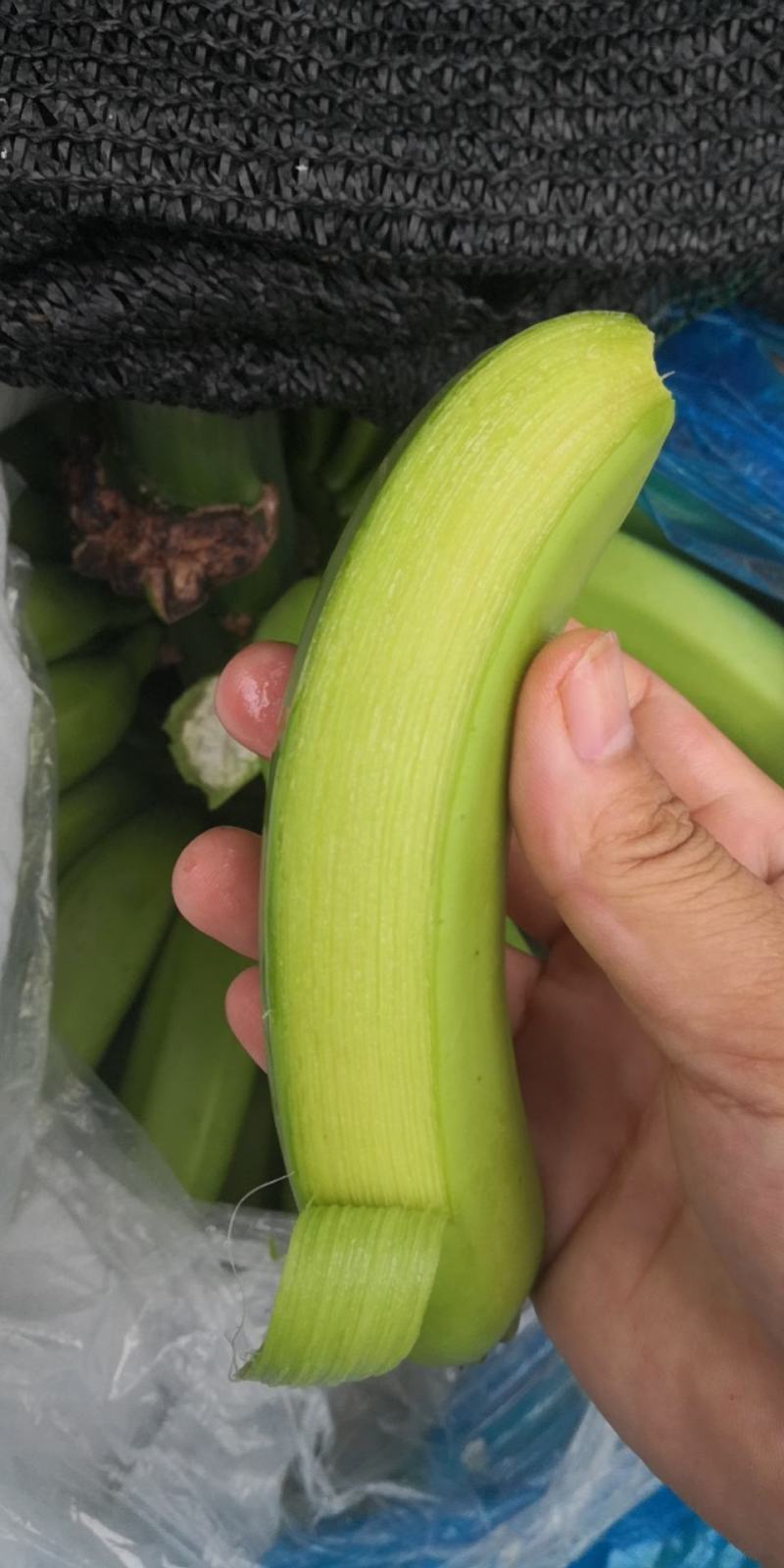 香蕉