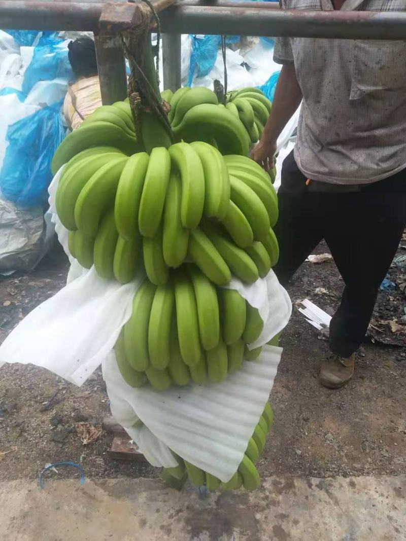 香蕉