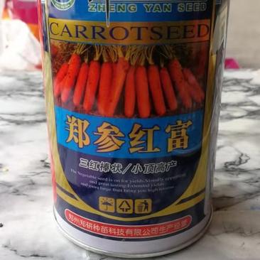 郑参红富萝卜种子小顶三红胡萝卜种子.300克