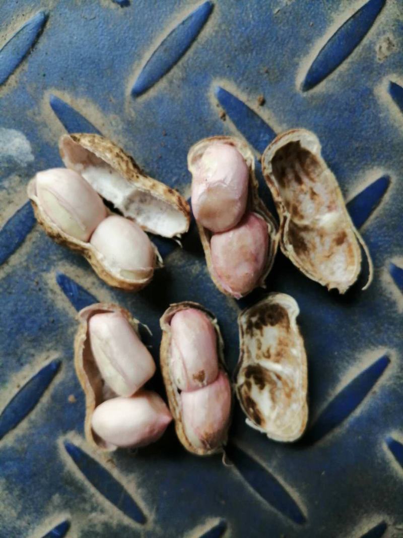 鲜花生