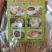 韶关特产养肝草丝线根护肝草龙须酒店食材开胃草广东汤料