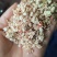 厂家直供货源，玉米皮，价格实惠，干净品质上乘！