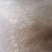 花鲢鱼苗，场地直销，快大良种鱼苗无病无伤易养，欢迎选购。