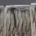 【热销】黑虎虾大个鲜活冷冻8头10头12头15头
