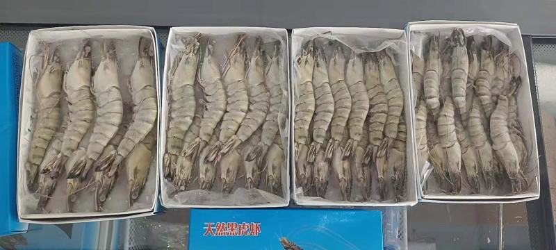 【热销】黑虎虾大个鲜活冷冻8头10头12头15头