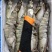 【热销】黑虎虾大个鲜活冷冻8头10头12头15头