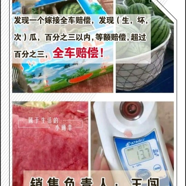 河南《微萌美都》西瓜基地(坏次生嫁接)通通包赔!