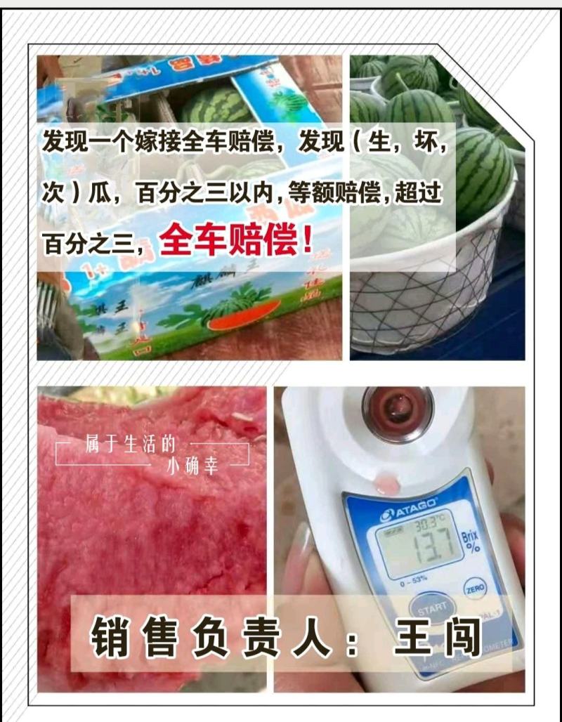 河南《微萌美都》西瓜基地（坏次生嫁接）通通包赔！