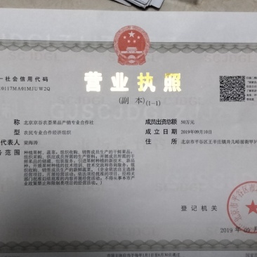 正宗北京平谷大桃