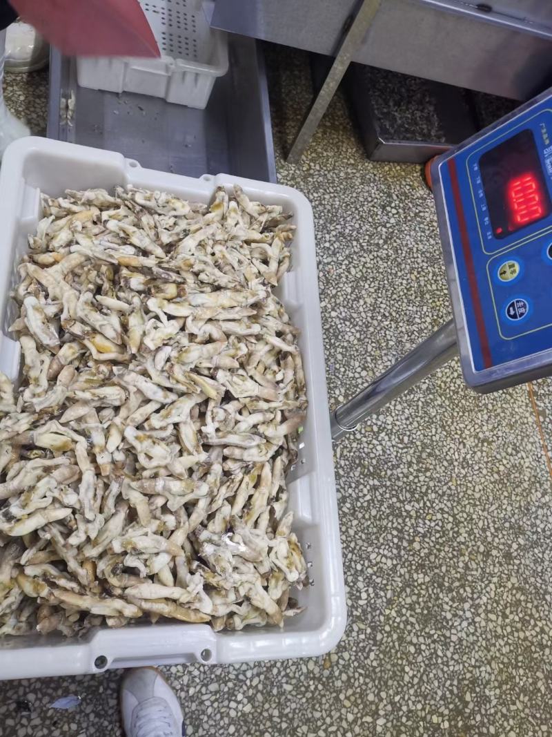 干冻竹节蛏，蛏子肉常年销售各种干冰海鲜原料，正八经的海鲜