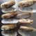 干冻竹节蛏，蛏子肉常年销售各种干冰海鲜原料，正八经的海鲜