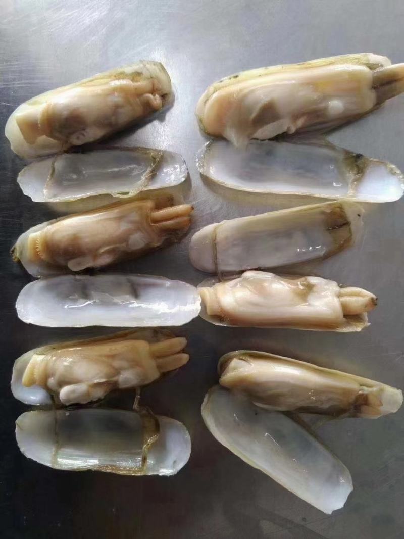 干冻竹节蛏，蛏子肉常年销售各种干冰海鲜原料，正八经的海鲜