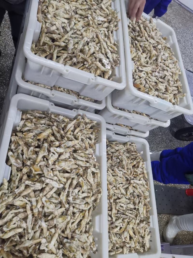 干冻竹节蛏，蛏子肉常年销售各种干冰海鲜原料，正八经的海鲜