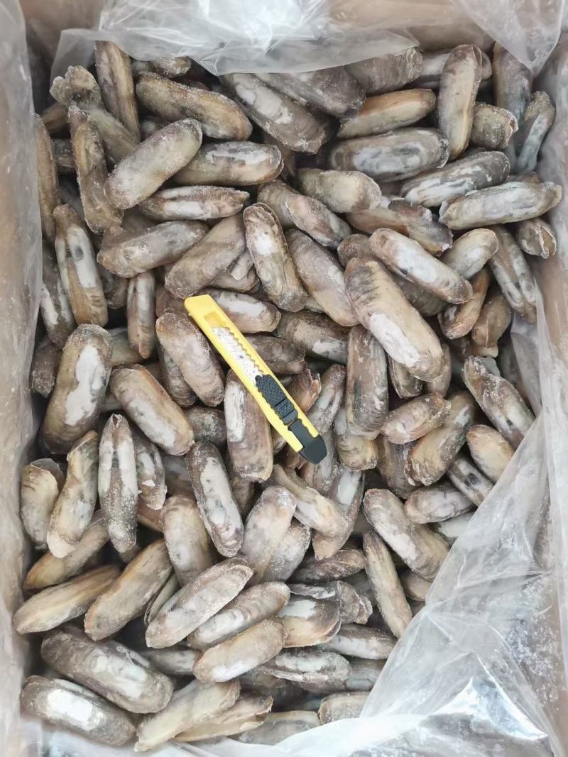 干冻竹节蛏，蛏子肉常年销售各种干冰海鲜原料，正八经的海鲜