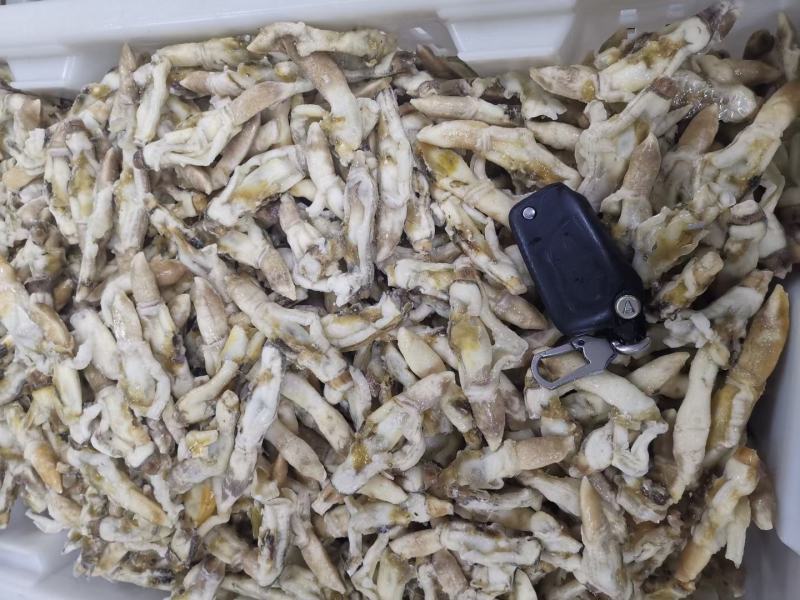 干冻竹节蛏，蛏子肉常年销售各种干冰海鲜原料，正八经的海鲜
