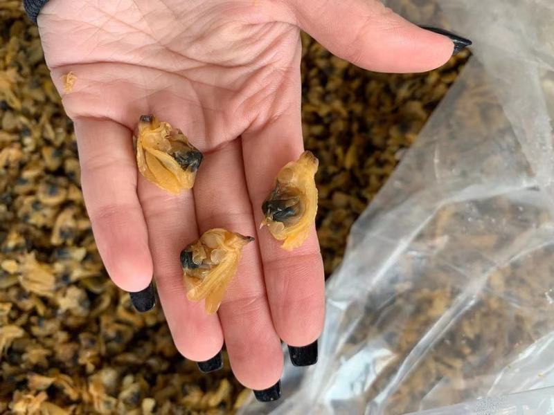 蚬子干，干度好常年销售各种干冰海鲜原料，正八经的海鲜工厂