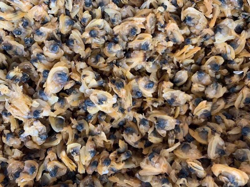 蚬子干，干度好常年销售各种干冰海鲜原料，正八经的海鲜工厂