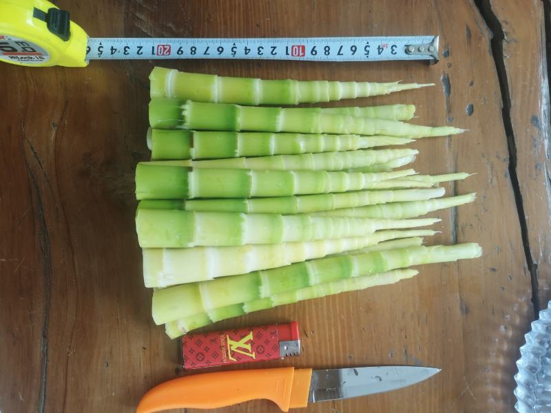 竹笋出来了，质优价廉