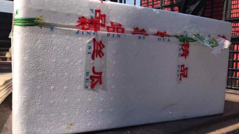 寿光西红柿蔬菜专业代发代收