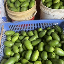 海南香水柠檬