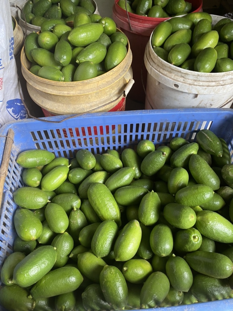 海南香水柠檬