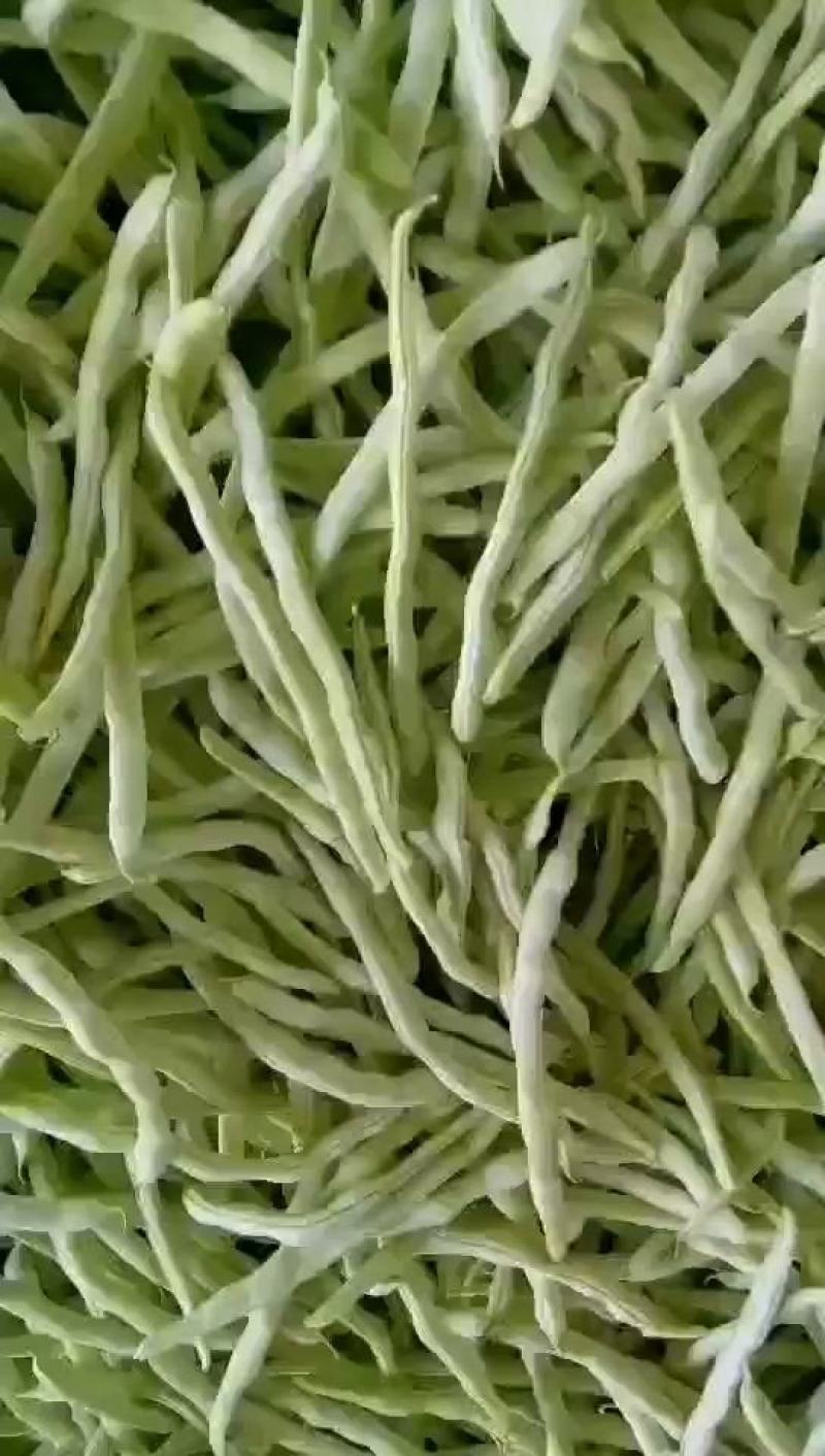 白豆角，白芸豆，白不老大量上市