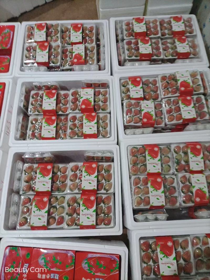 草莓云南四季草莓大量供应欢迎咨询产地直发一手货源