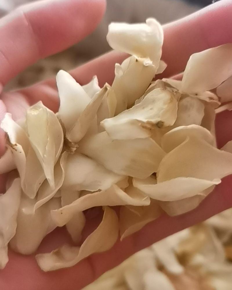 药用干百合，50斤一袋，香料专卖本人主营香料