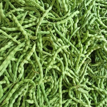 肉豆芸豆