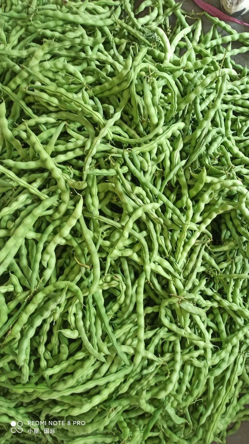 肉豆芸豆
