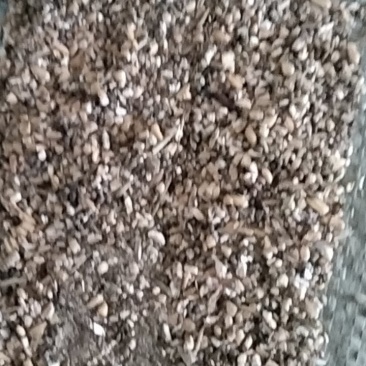 碎小麦质量好，价格便宜