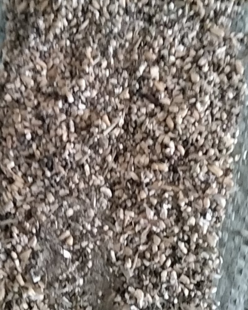 碎小麦质量好，价格便宜