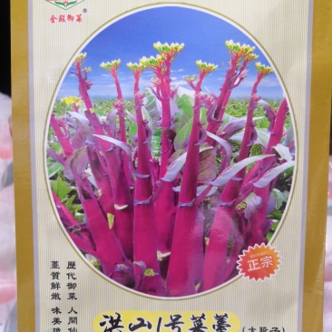 【金殿御菜】湖北名菜红菜苔种子洪山一号菜薹种子