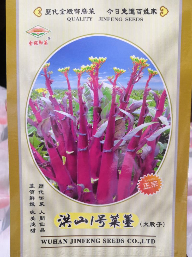 【金殿御菜】湖北名菜红菜苔种子洪山一号菜薹种子