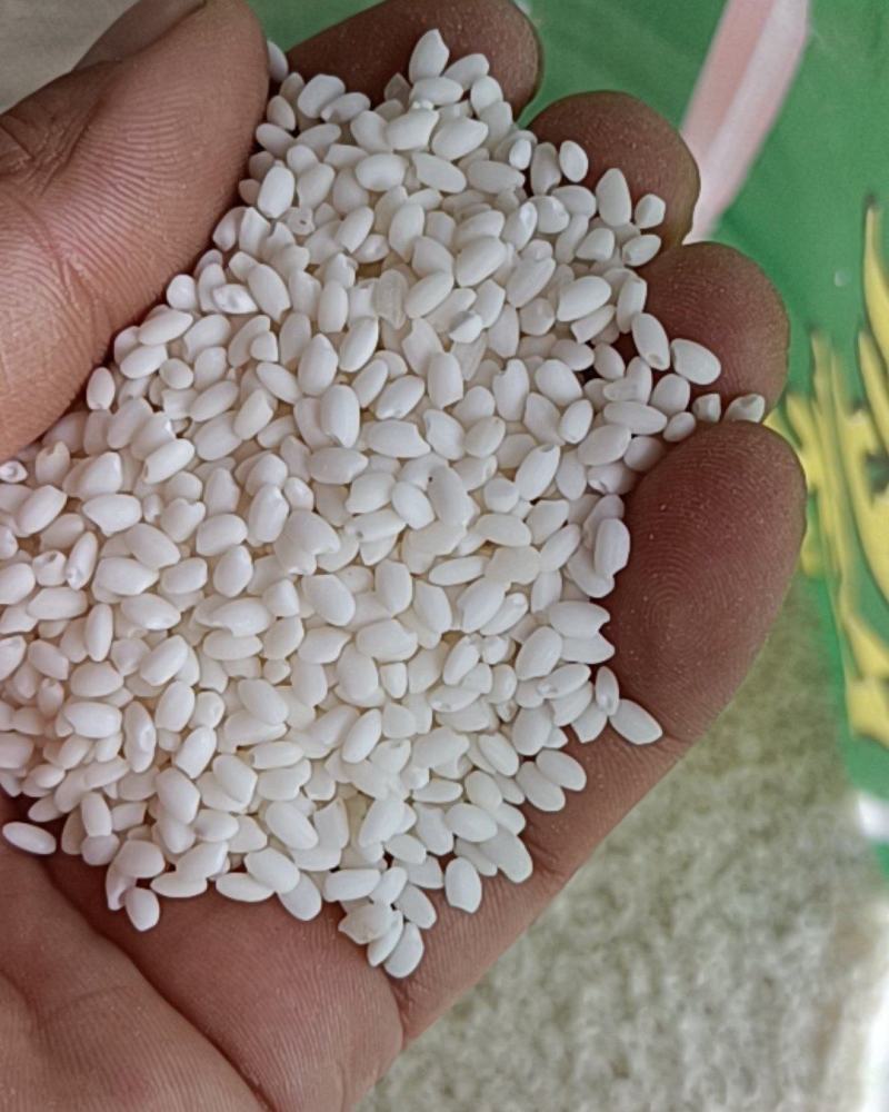 大量批发丝香，糯米，碎米，酒米和5~20斤精包装米。