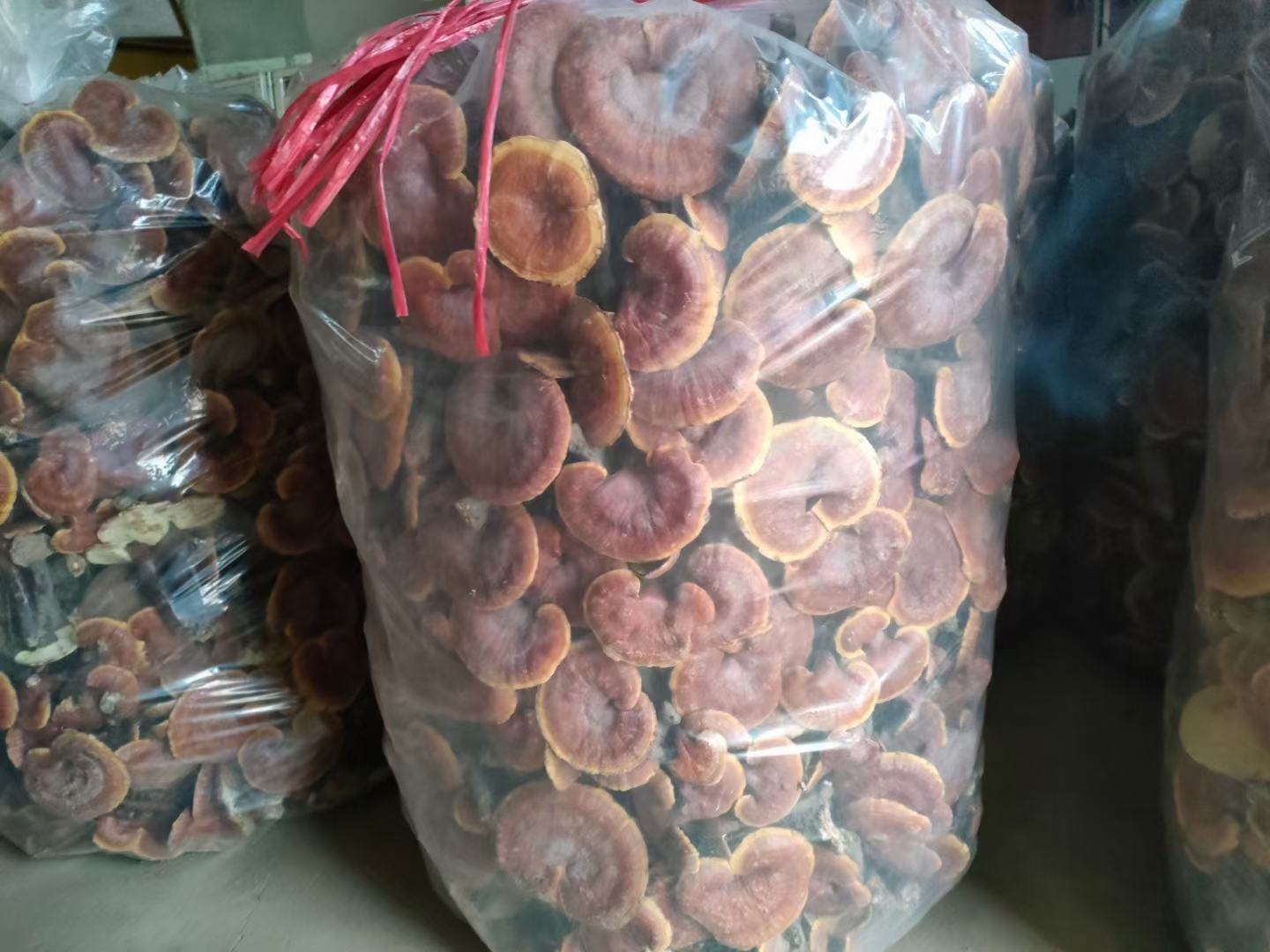 灵芝切片密封保存示意图