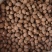 肉蔻原货，干货香料专供，大量现货，门店专卖，欢迎联系