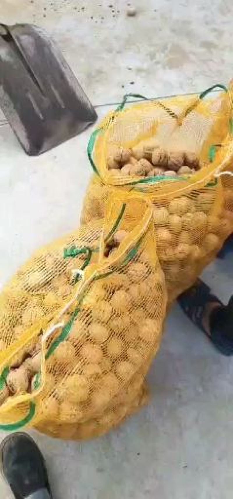 辽系薄皮精品去皮湿核桃大量上市，质优价廉，保质保量。
