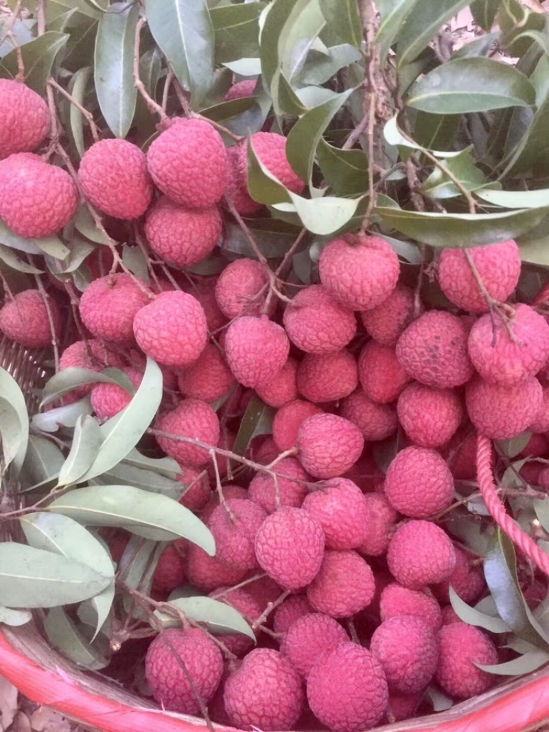 糯米糍荔枝